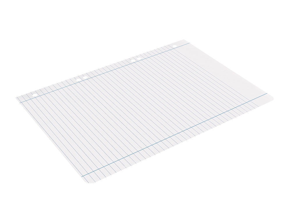 RECAMBIO LIDERPAPEL A5 100 H 100G/M2 HORIZONTAL DOBLE MARGEN 6 TALADROS